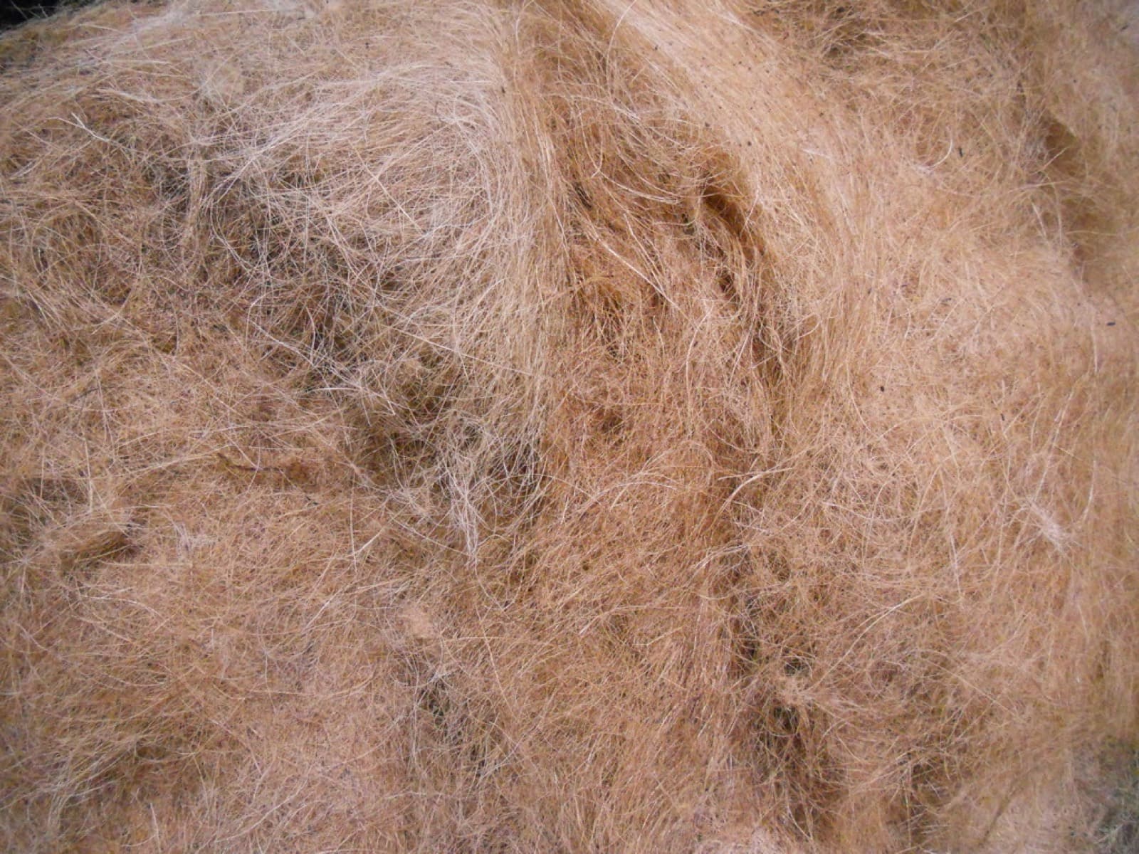 Lose Coco Fibre
