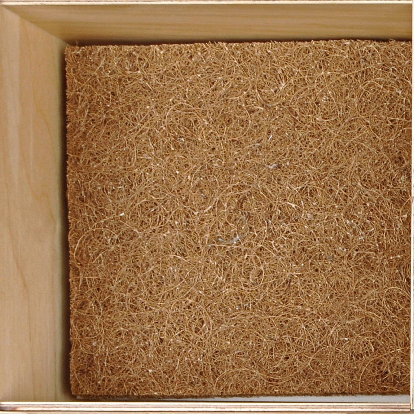 Coir-Material in einer Probenschale
