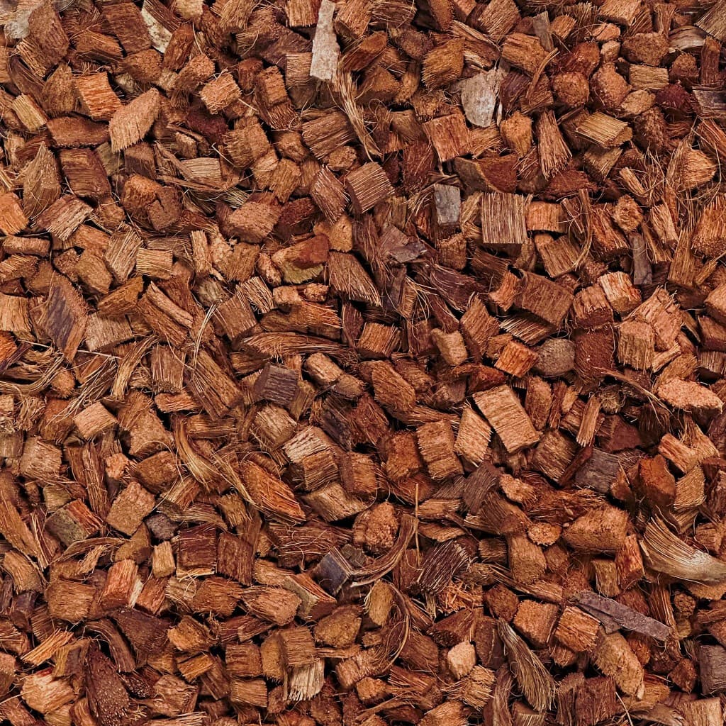 Nahaufnahme geschnittener Coco Chips