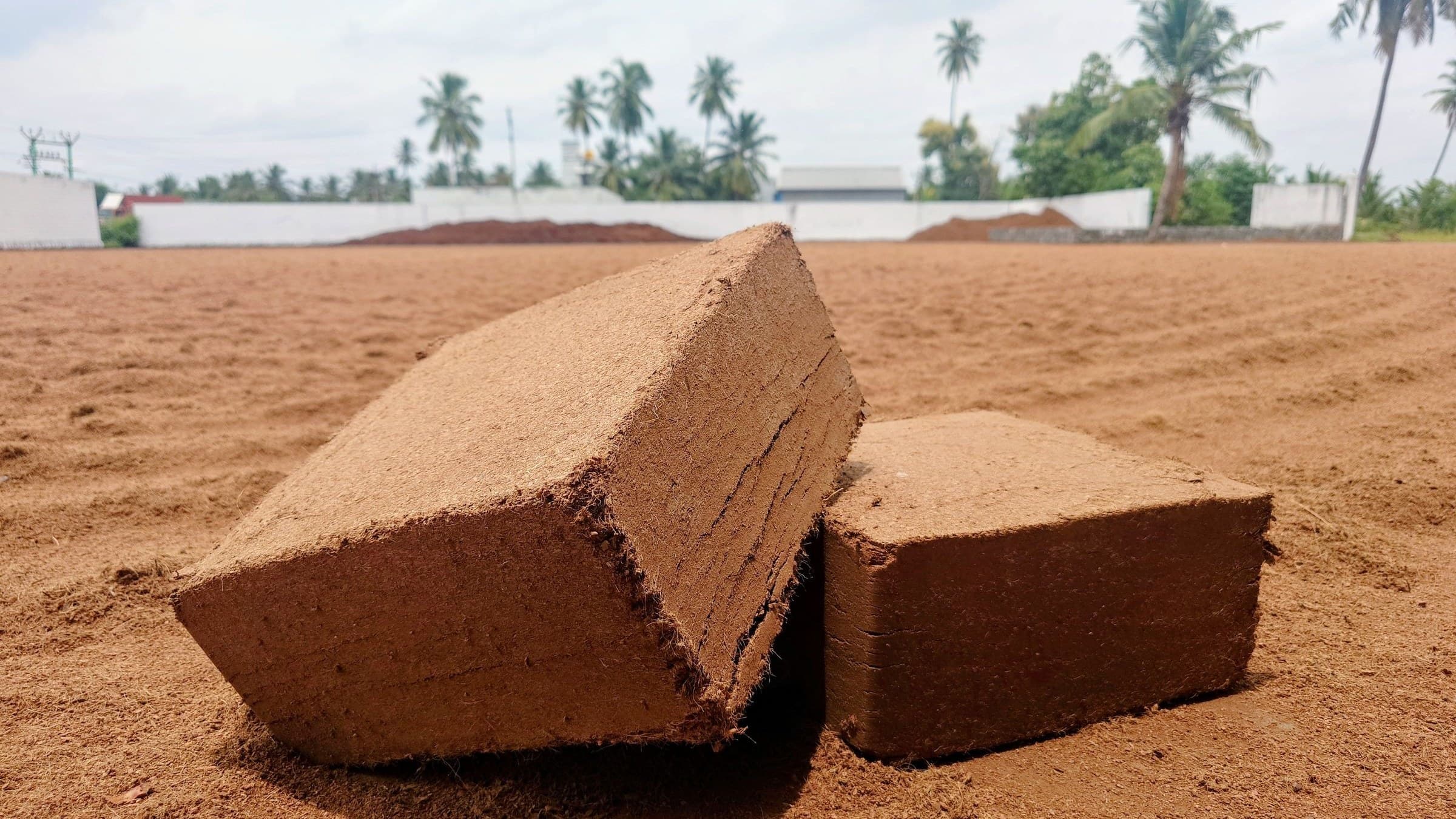Gepresste Coco-Peat-Blöcke auf einem Trockenplatz